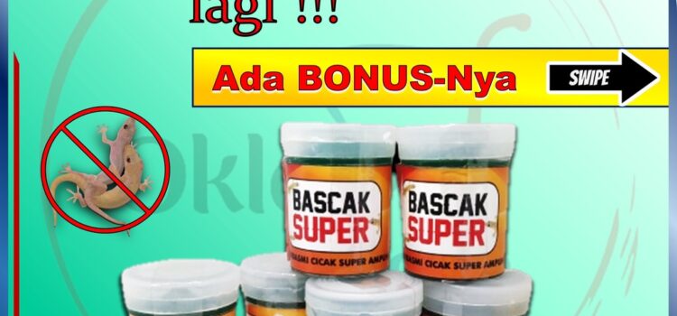 Bascak Produk Efektif untuk Mengusir Cicak dari Rumah Anda Bascak Produk Efektif untuk Mengusir Cicak dari Rumah Anda